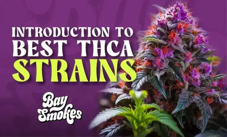 Top THCa Flower Strains and Brands - Bay Smokes