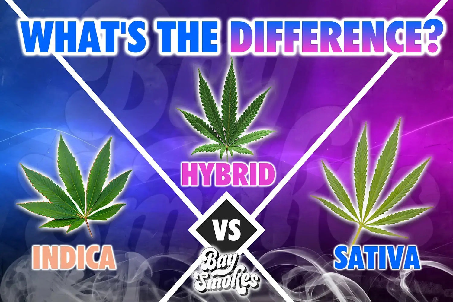 Indica vs Sativa vs Hybrid: What’s The Difference? - Bay Smokes