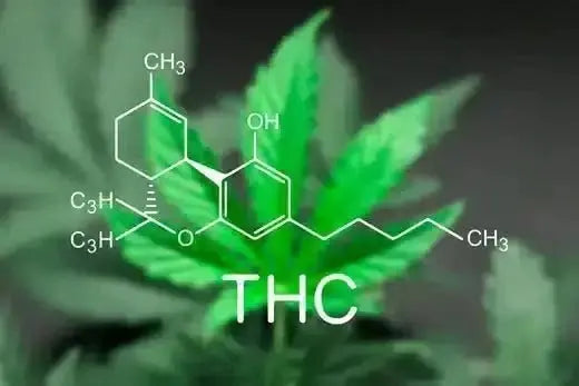 Where To Buy Delta 8 THC - Bay Smokes