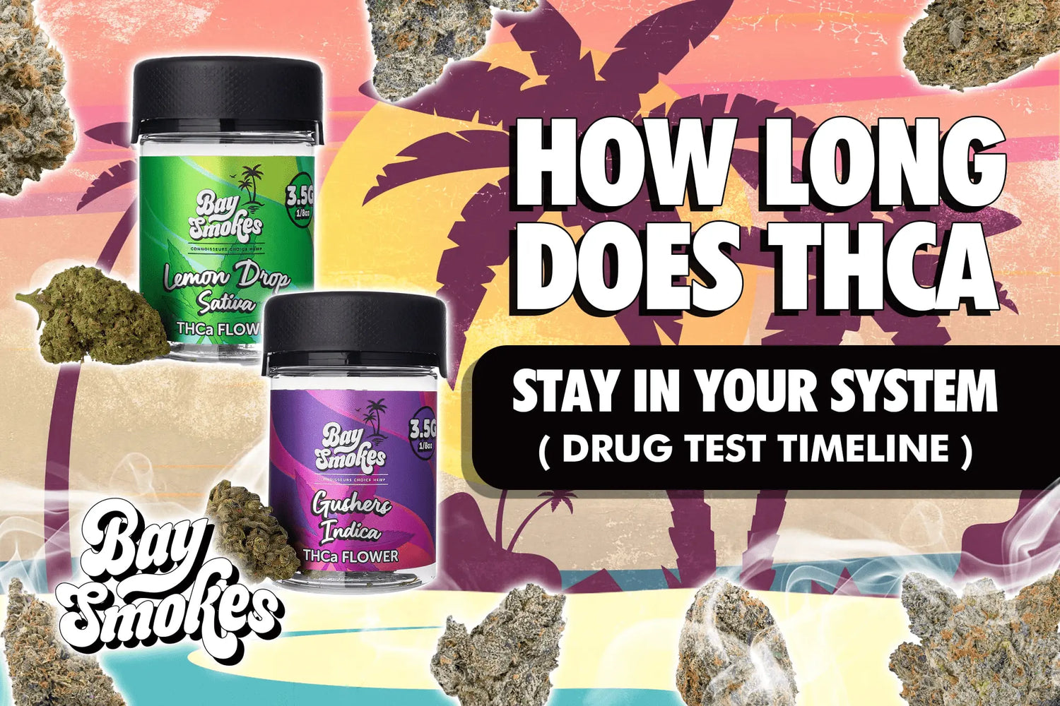 How Long Does THCA Stay In Your System? Drug Test Timeline - Bay Smokes