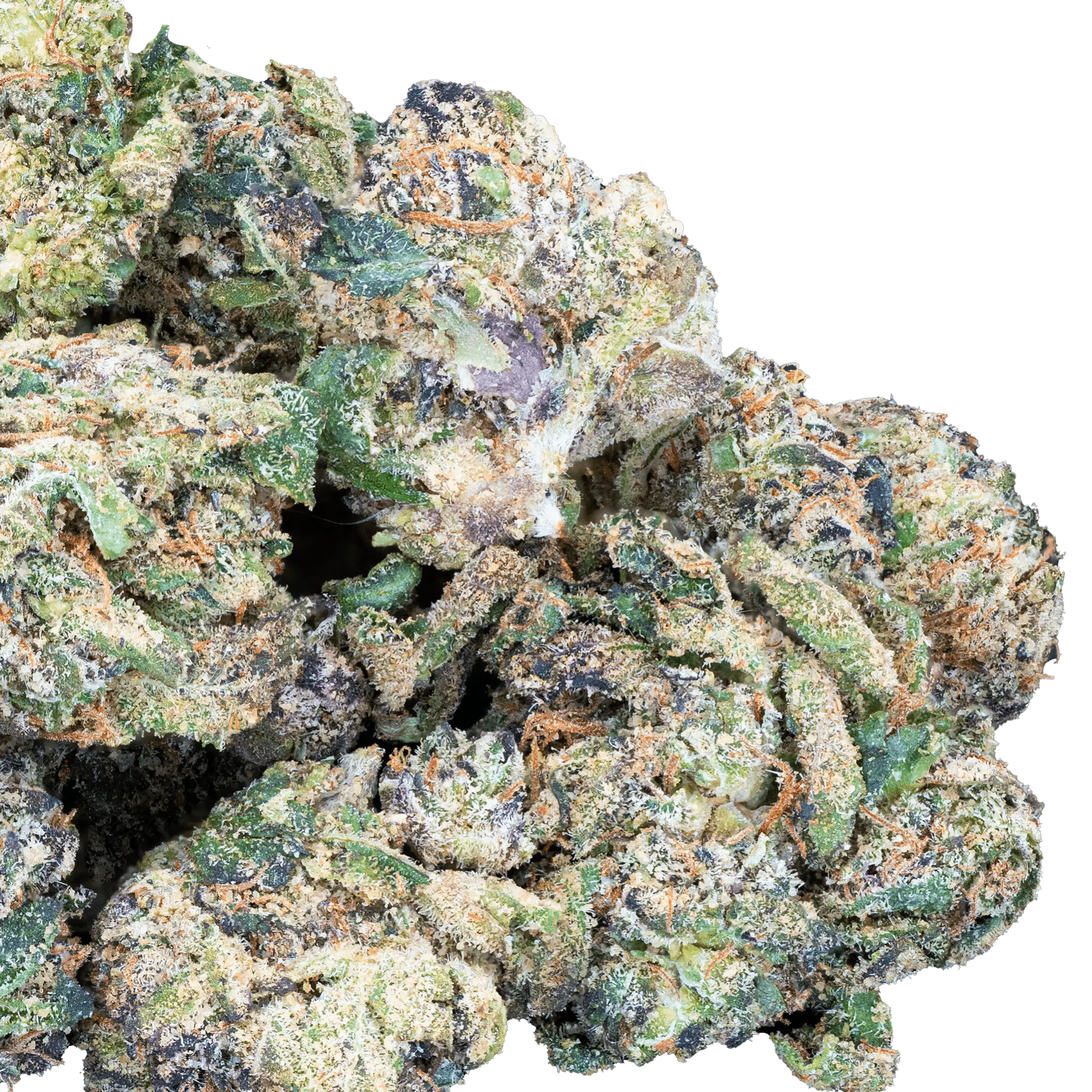 Only Gas - THCa Exotic Mediums & Smalls - Bay Smokes