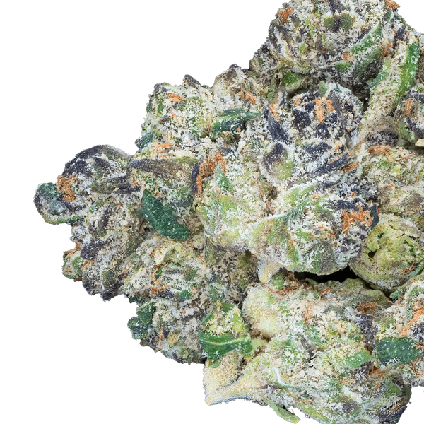 Bulk Exotic Smalls - Bay Smokes