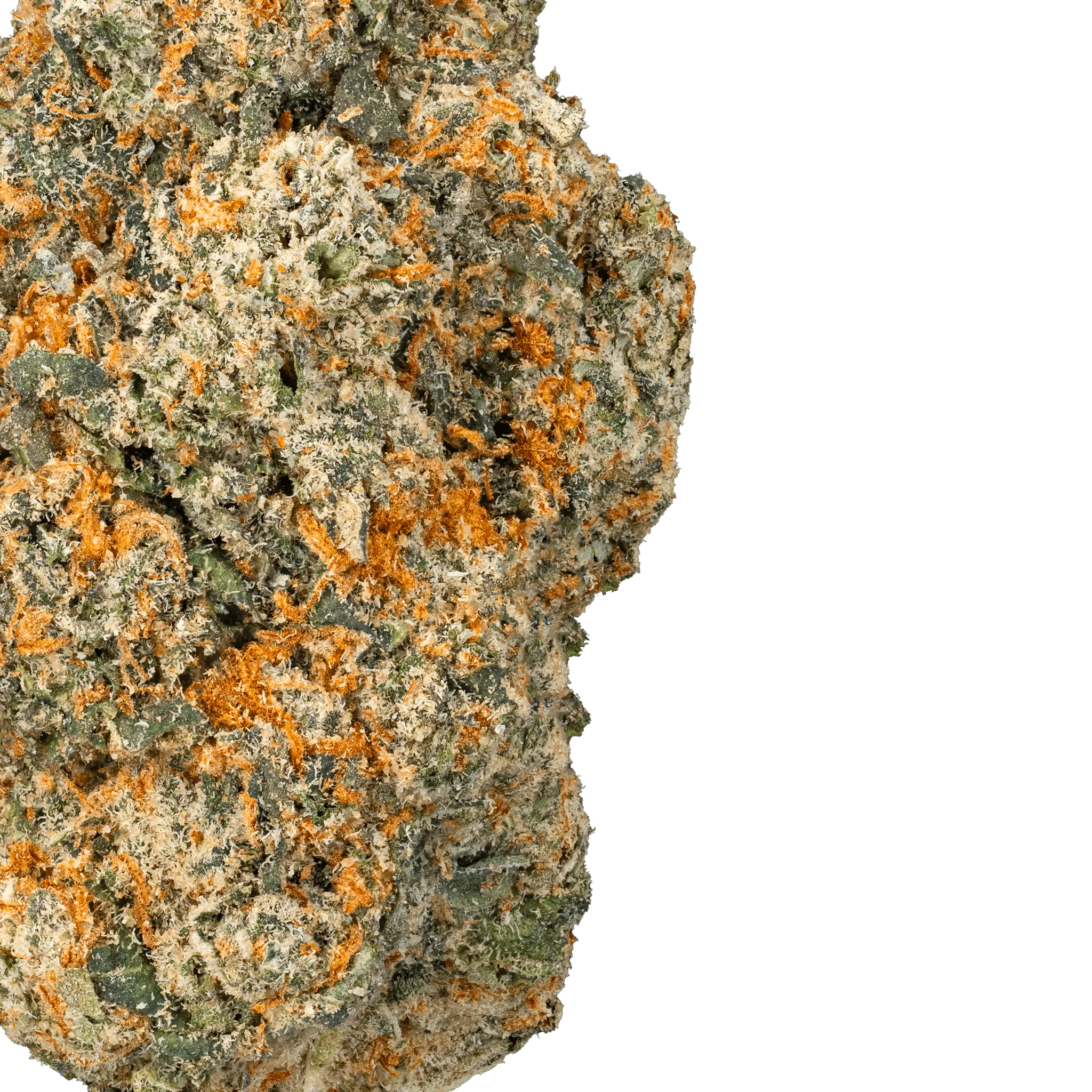 Orange Push Pop - THCa Flower - Bay Smokes