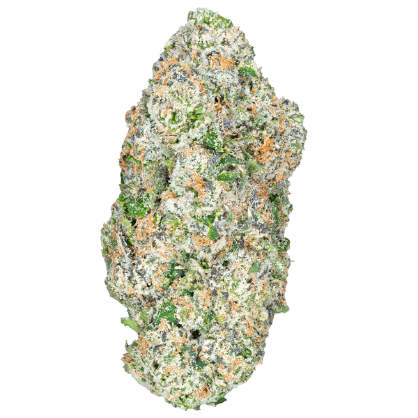 Blue Dream – THCa Flower - Bay Smokes