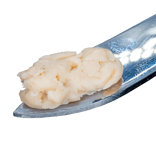 London Jelly THCa Live Hash Rosin - Bay Smokes