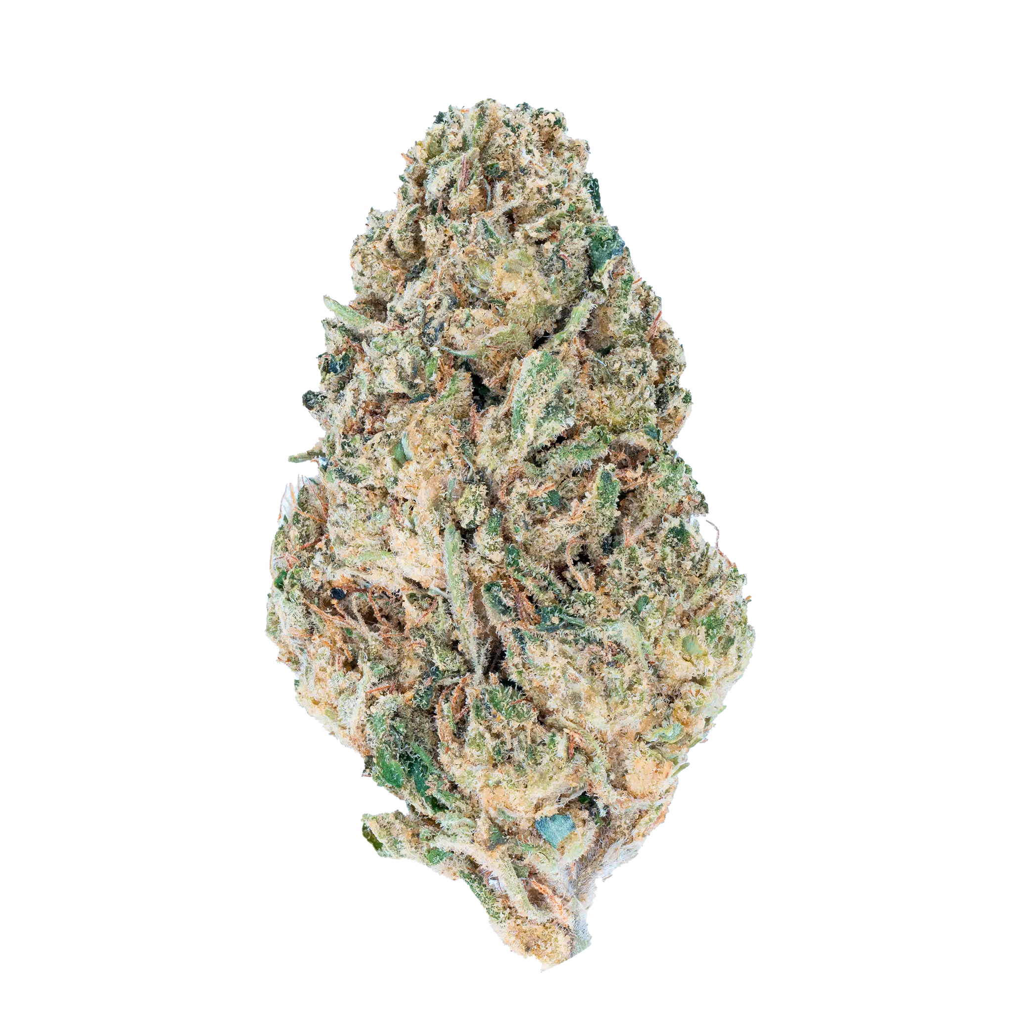 Mr. Nasty - THCa Flower Bay Smokes