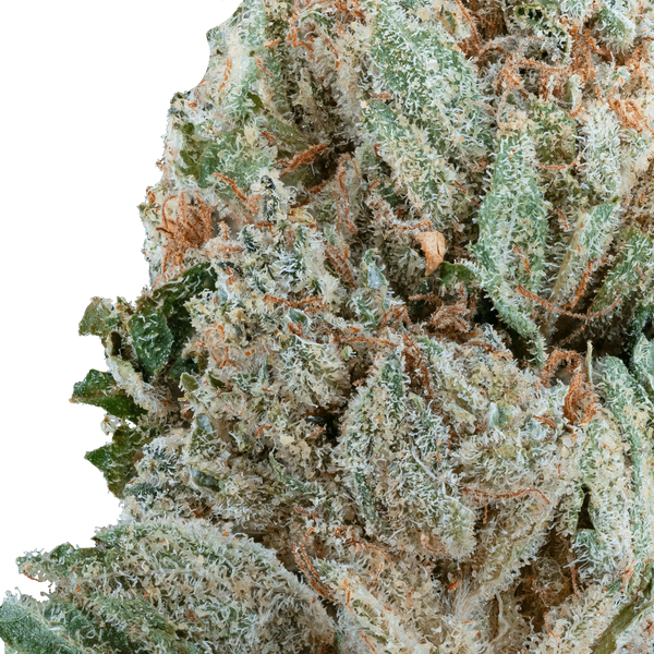Strawberry Express – THCa Flower - Bay Smokes