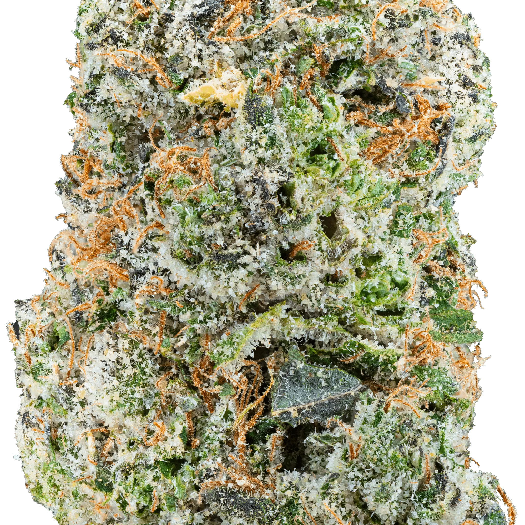 Zoap – THCa Flower - Bay Smokes