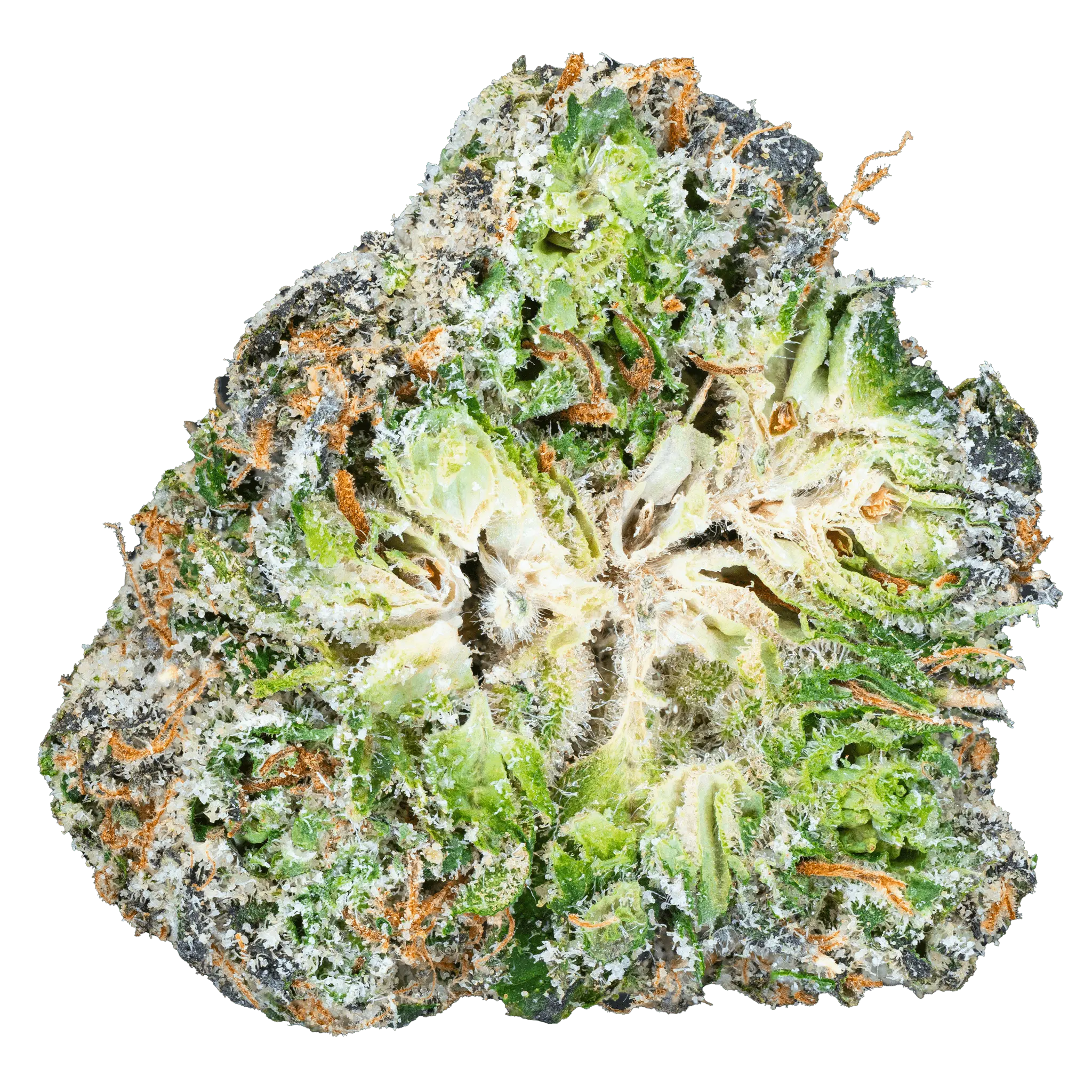 Zoap – THCa Flower - Bay Smokes