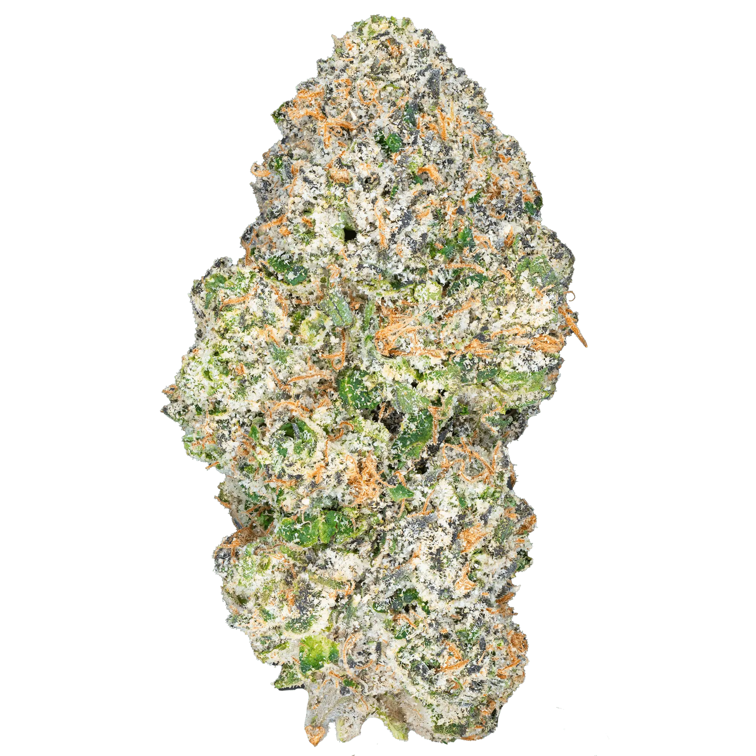 Apple Fritter – THCa Flower - Bay Smokes