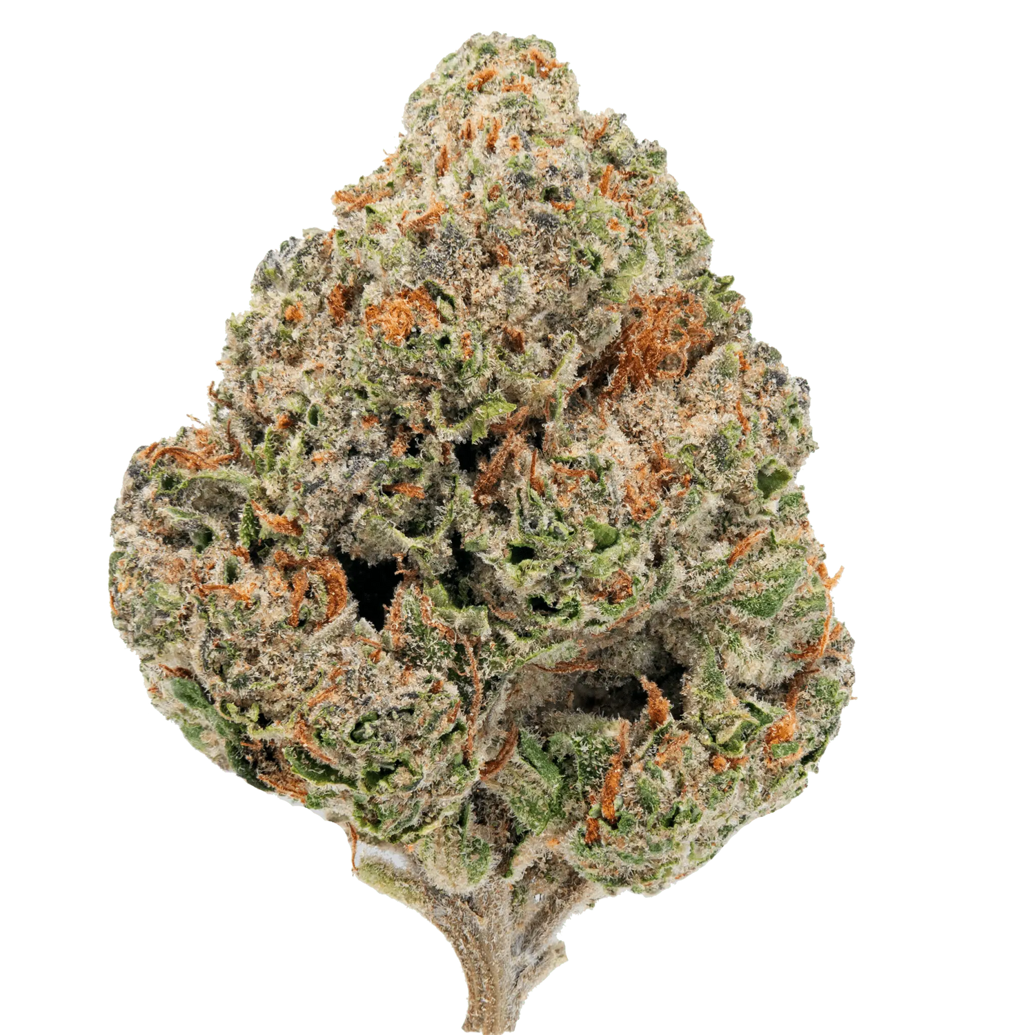 Gorilla Glue – THCa Flower - Bay Smokes