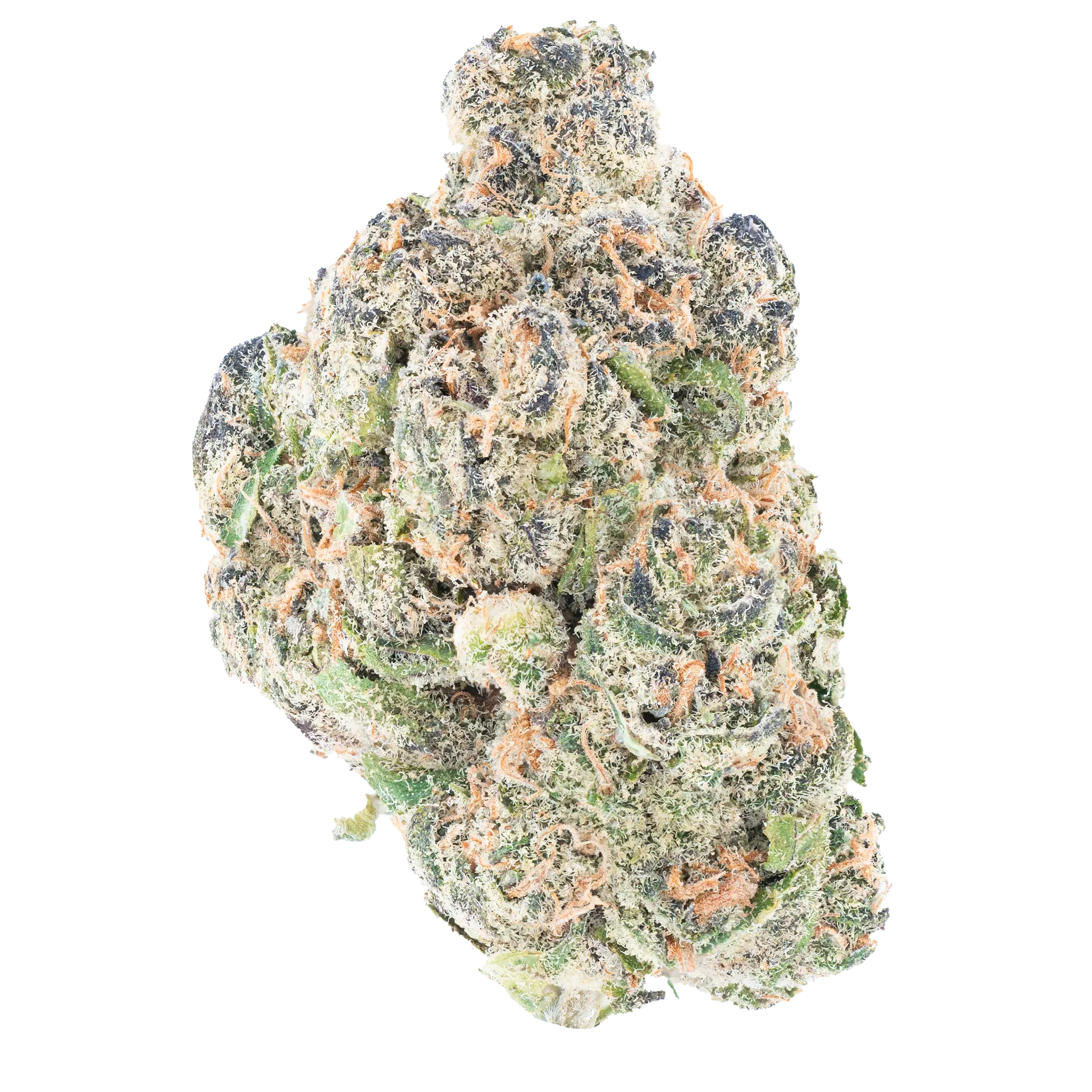 Orange Push Pop- THCa Flower Bay Smokes