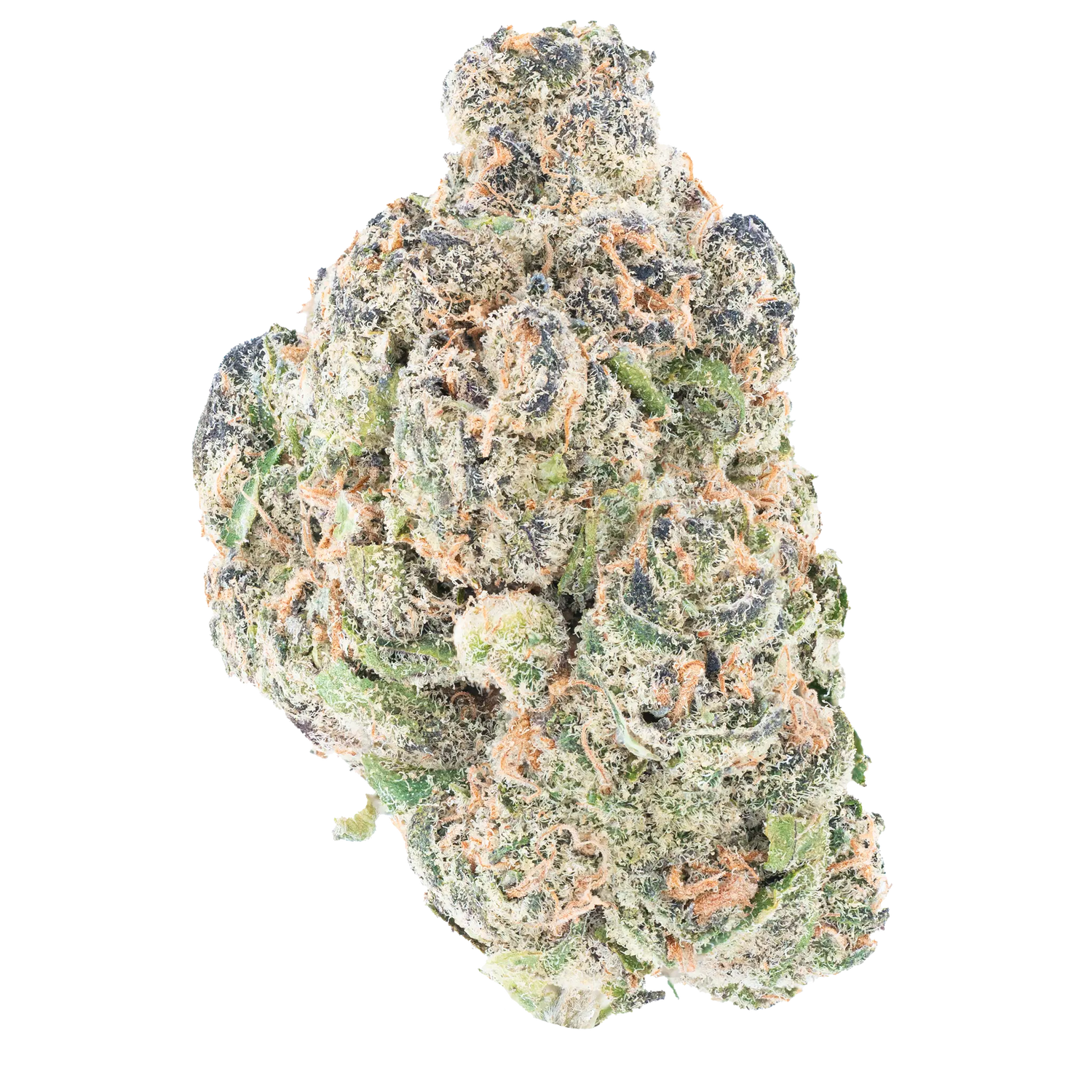 Orange Push Pop- THCa Flower Bay Smokes