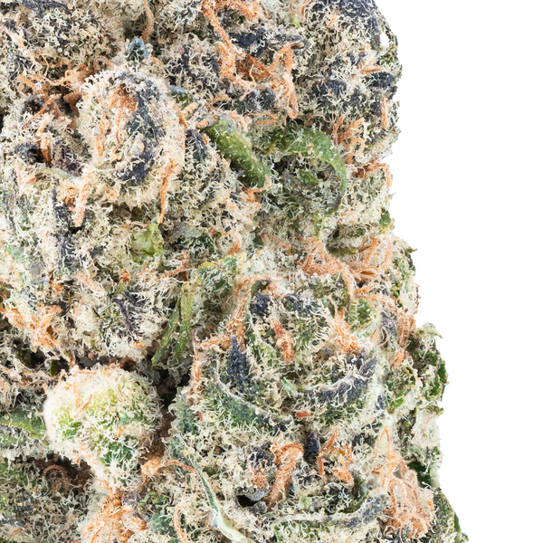 Orange Push Pop- THCa Flower Bay Smokes