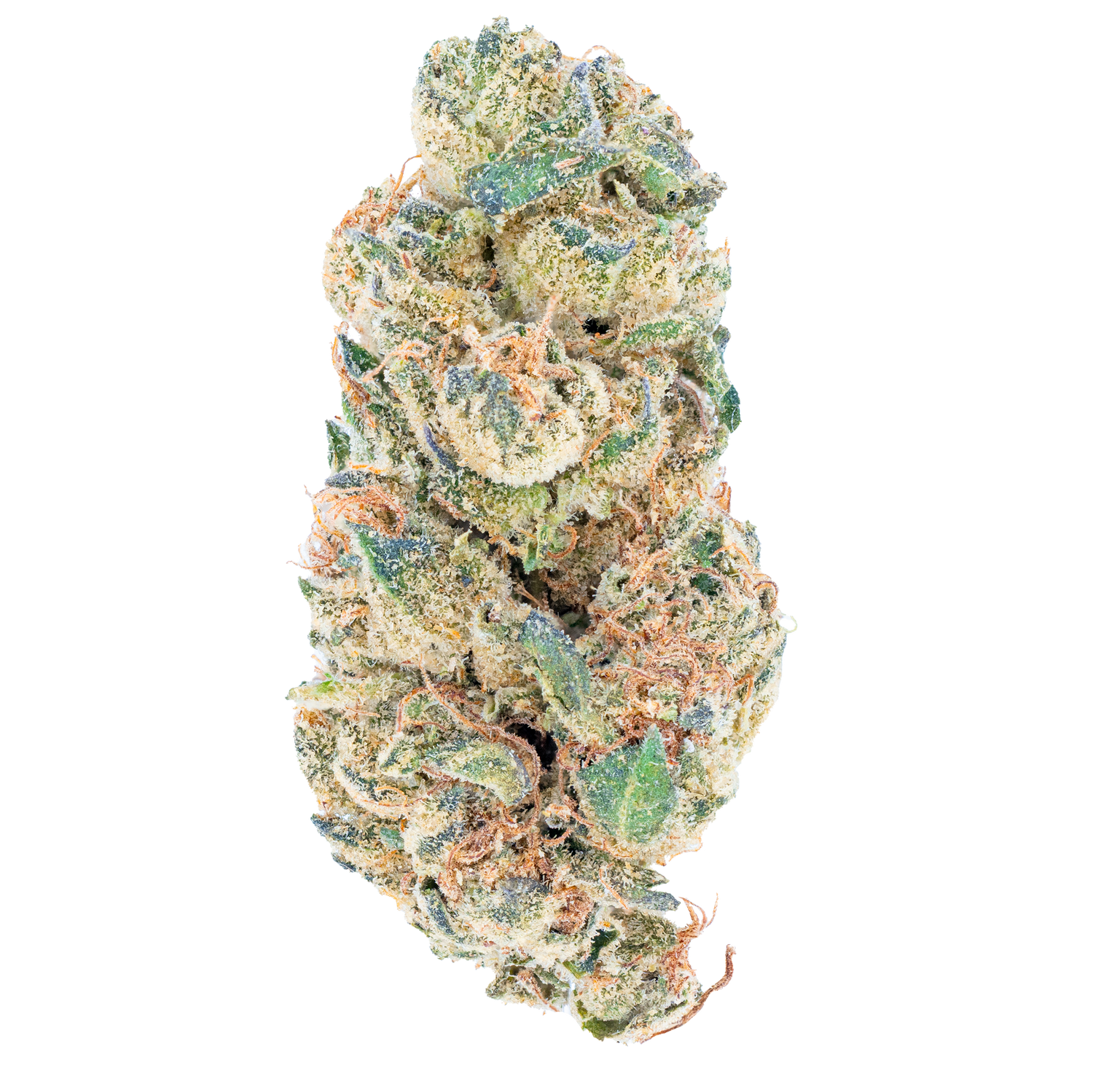Hella Slumped - Flor de THCa de invernadero