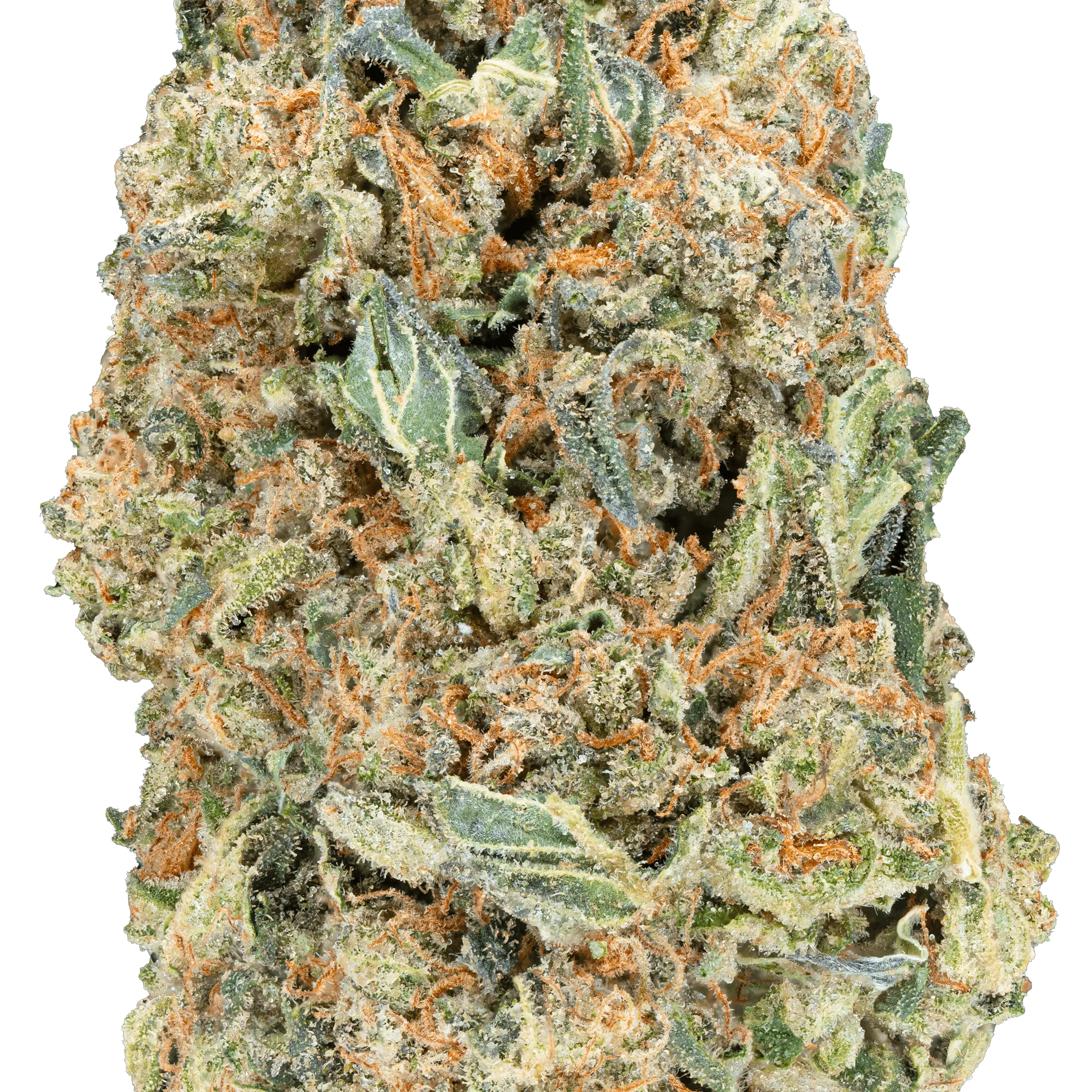 Greenhouse THCa Flower - Bay Smokes
