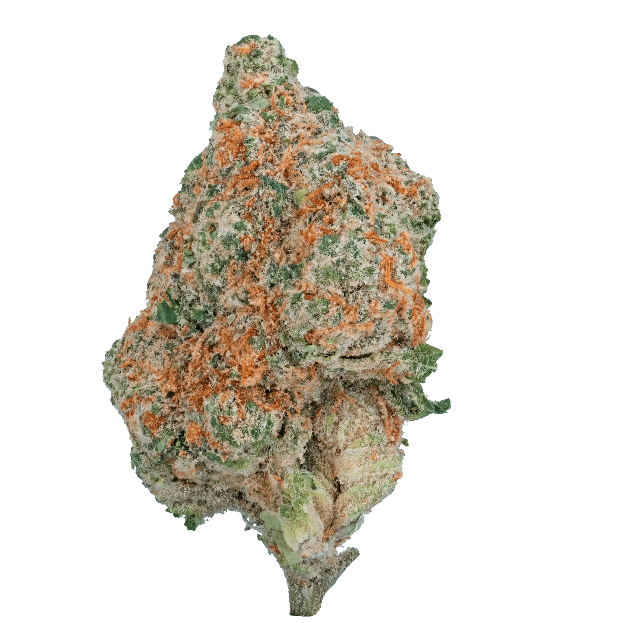 Only Gas - THCa Flower - Bay Smokes