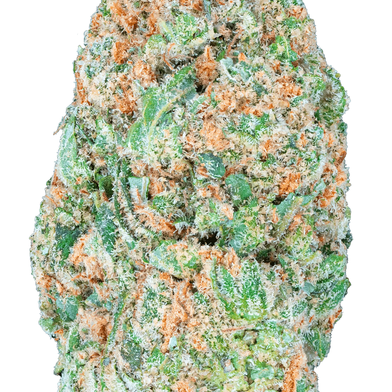 Vorpal Cherry Aurora - THCa Flower - Bay Smokes