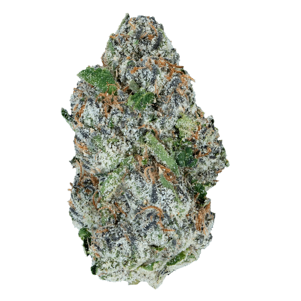 LOWEZ - Alien ET THCa - Bay Smokes