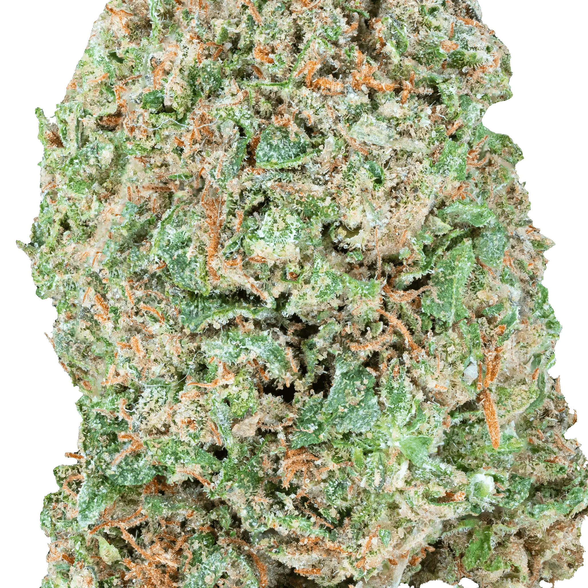 Mr. Nasty - THCa Flower - Bay Smokes