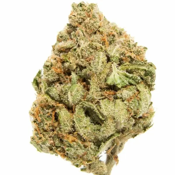 Gary Peyton - THCa Flower - Bay Smokes