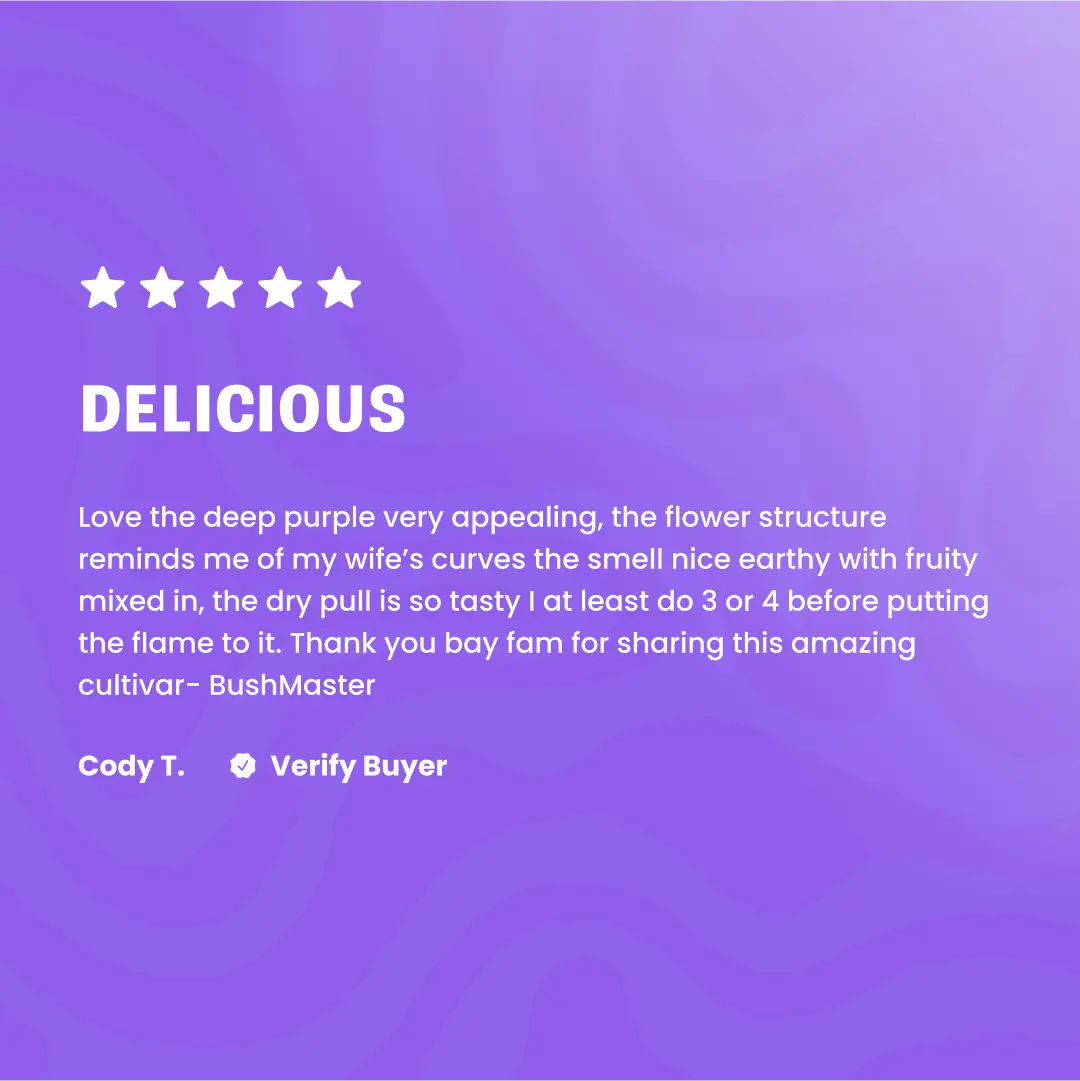 Vorpal Cherry Aurora - THCa Flower - Bay Smokes