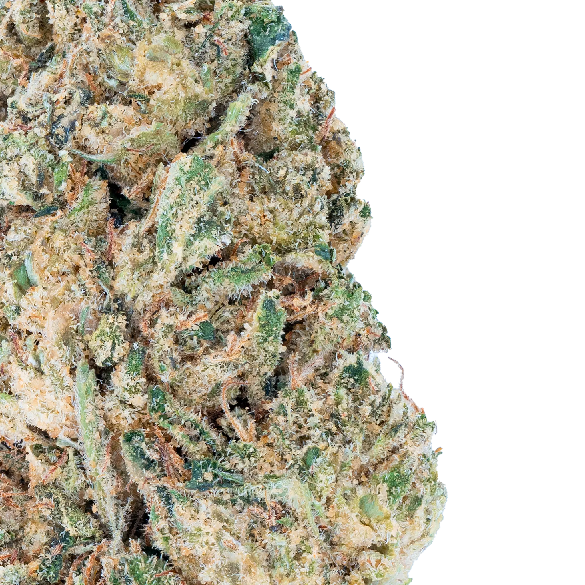 Mr. Nasty - THCa Flower Bay Smokes
