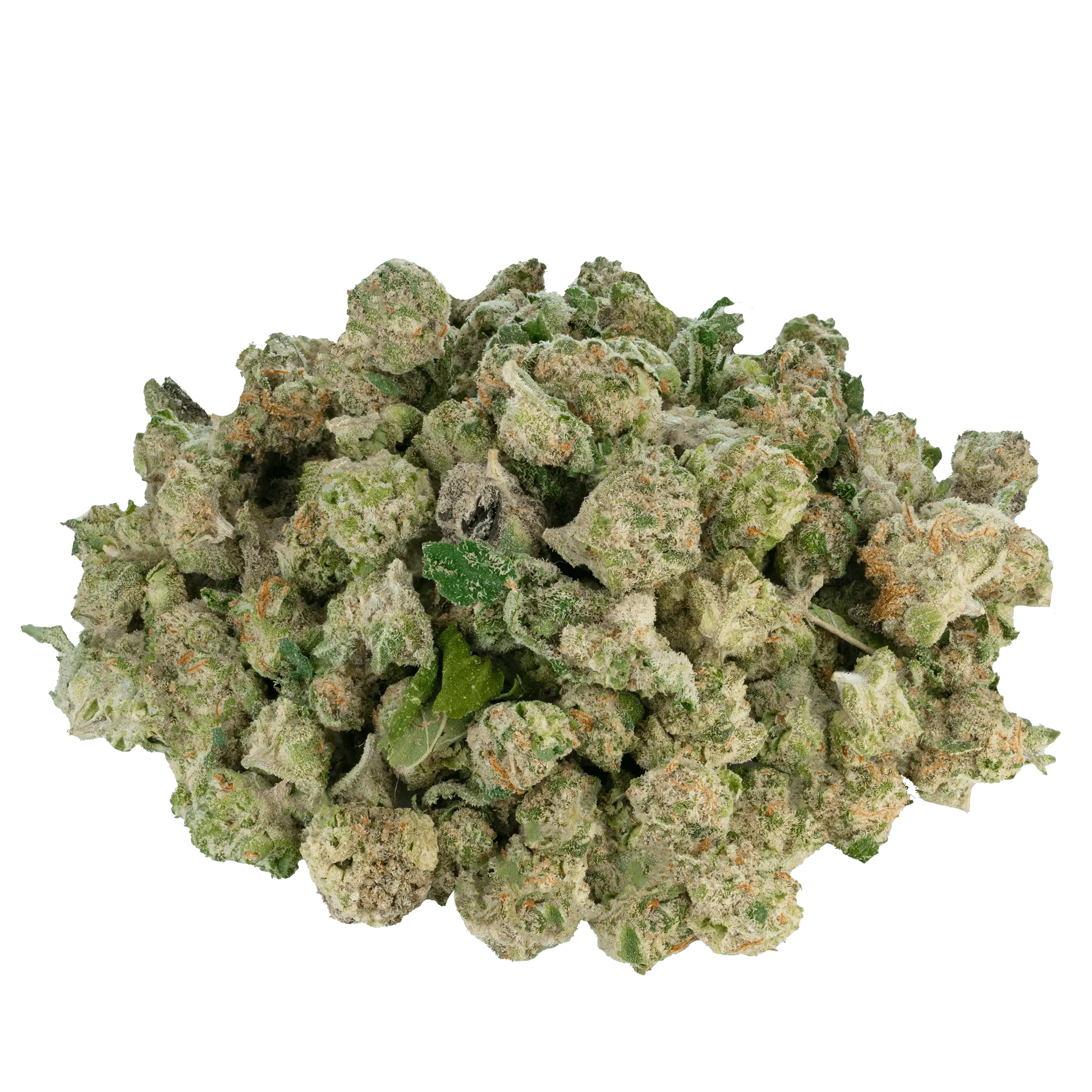 Only Gas - THCa Indoor Micros - Bay Smokes