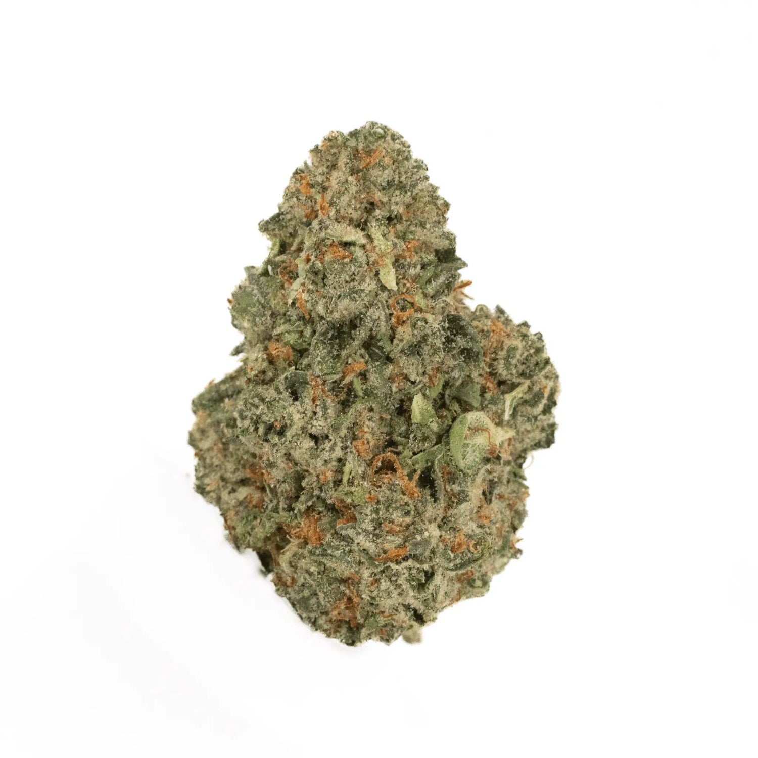 Horchata - THCa Flower - Bay Smokes