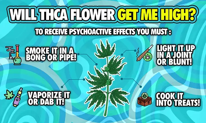 Will THCA Flower Get Me High
