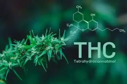 THC composition