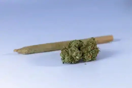 cannabis and joint