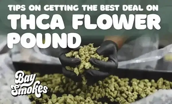 Tips on Getting the Best Deal on THCA Flower Pound