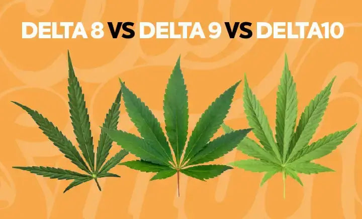 Delta-8 Vs Delta-9 Vs Delta-10: What You Need To Know