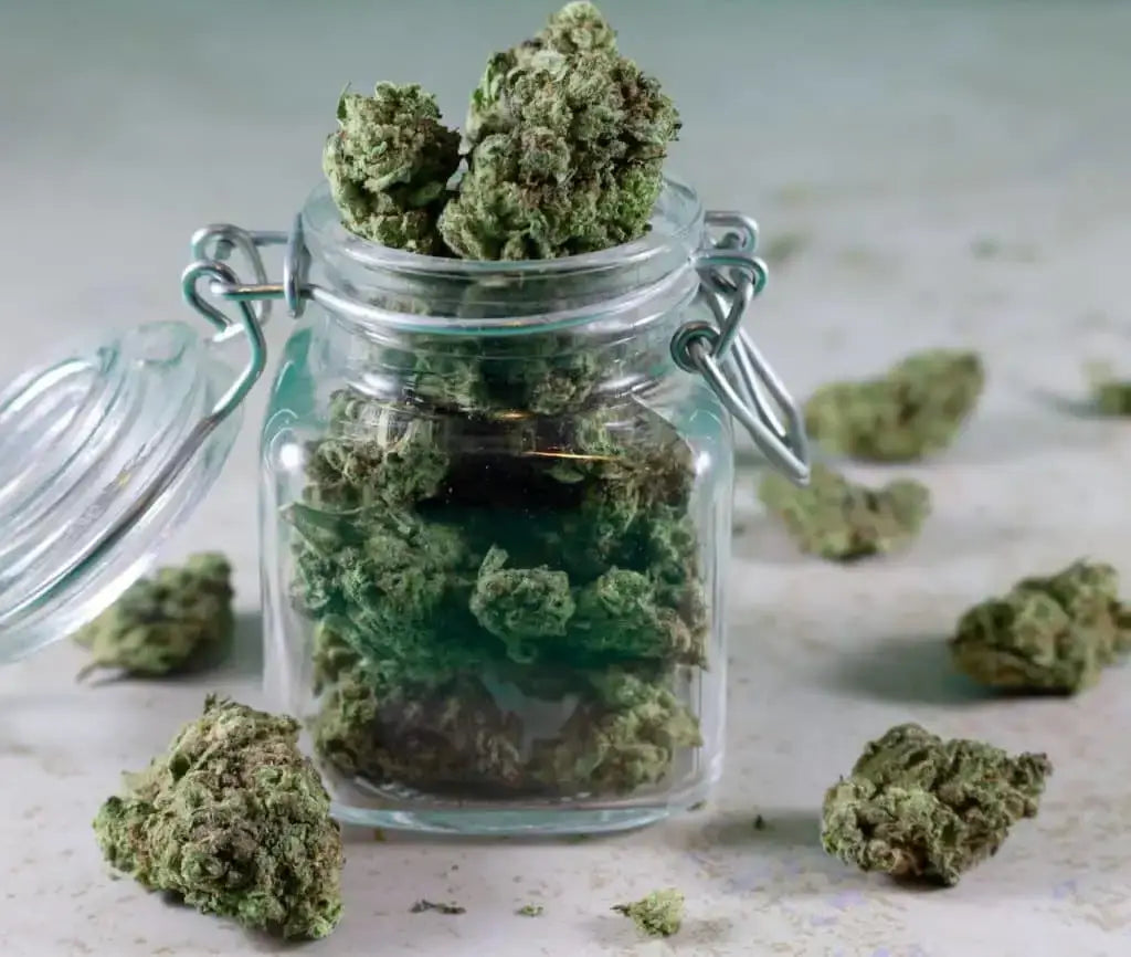 cannabis inside a jar