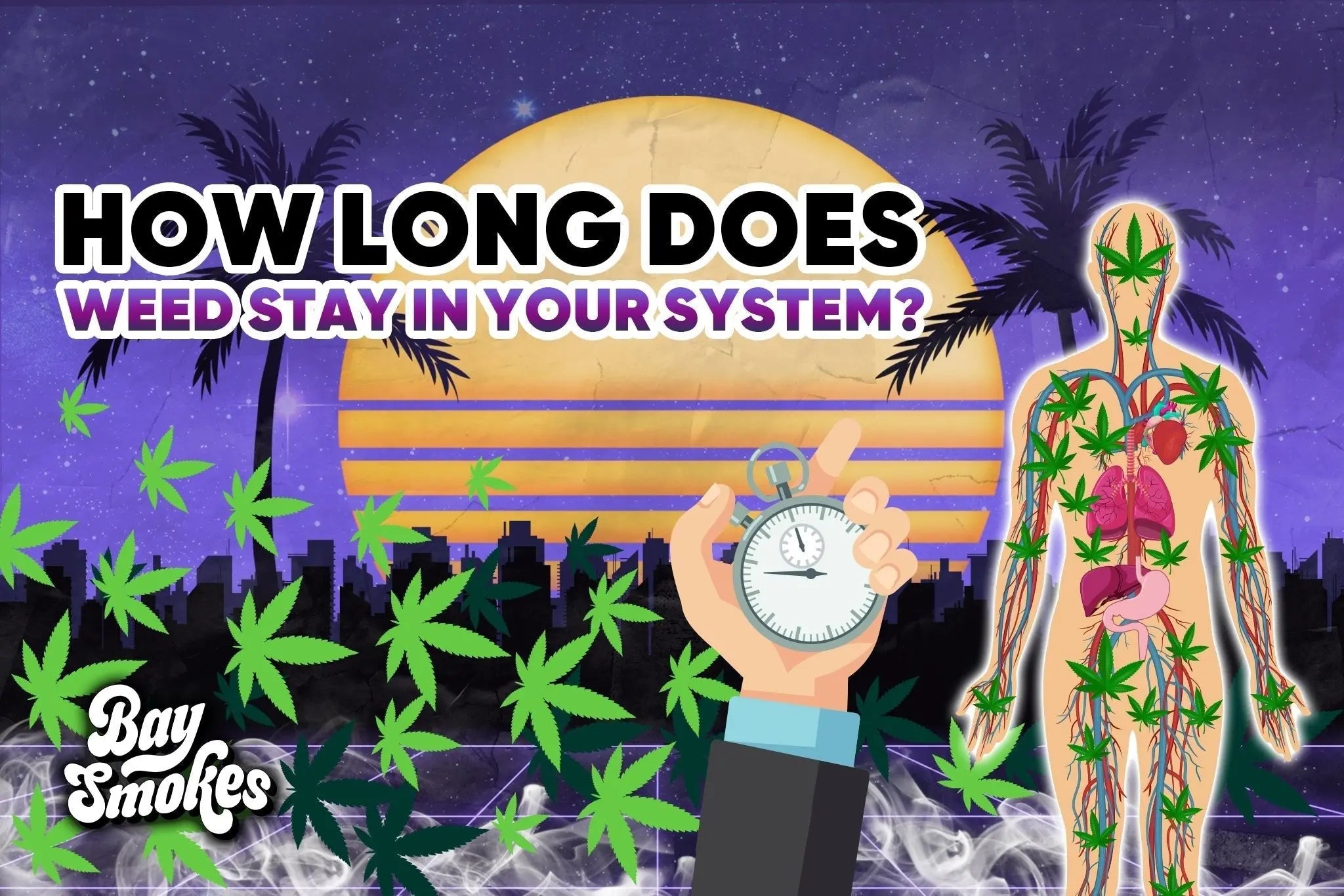 How Long Does Weed Stay In Your System? – Bay Smokes