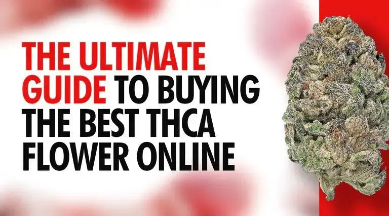 Tips for Buying Safe and Quality THCA Flower Online - Bay Smokes