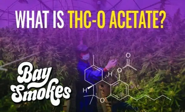 What Is THC-O?