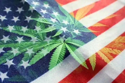 cannabis in the us