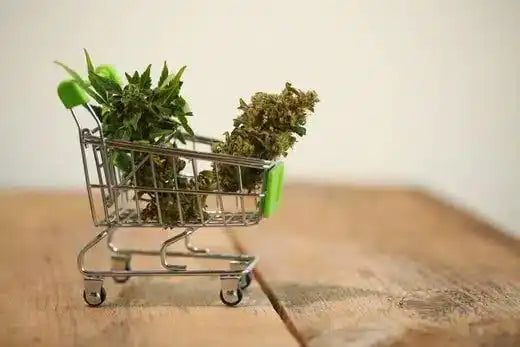 cannabis on small cart