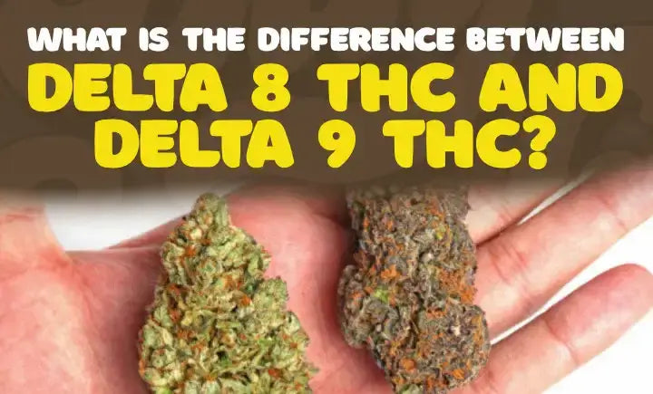 Delta 8 Vs Delta 9 THC: What’s The Difference?