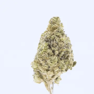 Mr. Nasty - THCa Flower bg