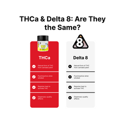 SloDown LoDown Peach Mango THC Syrup