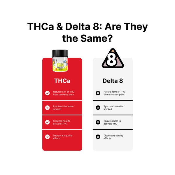 SloDown LoDown Peach Mango THC Syrup