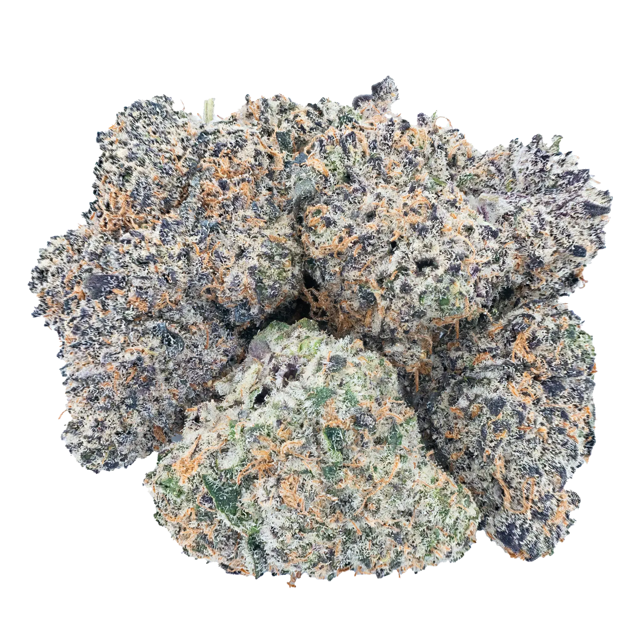 Lil Baby - WHAM! Offer Wham THC