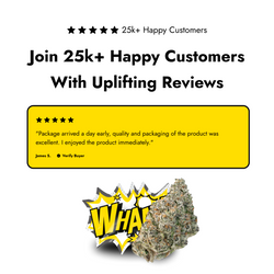 Lil Baby - Gelato 45