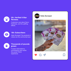 Hella Slumped – Rosin de hachís vivo con THCa