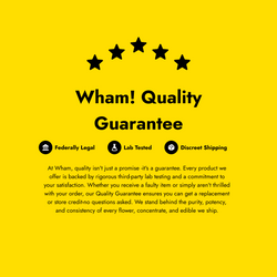 Lil Baby - Gelato 45