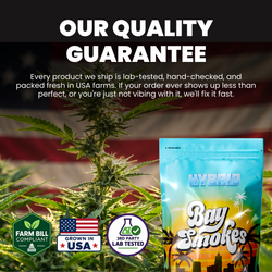 THCa Seeds - Feminized Autoflower