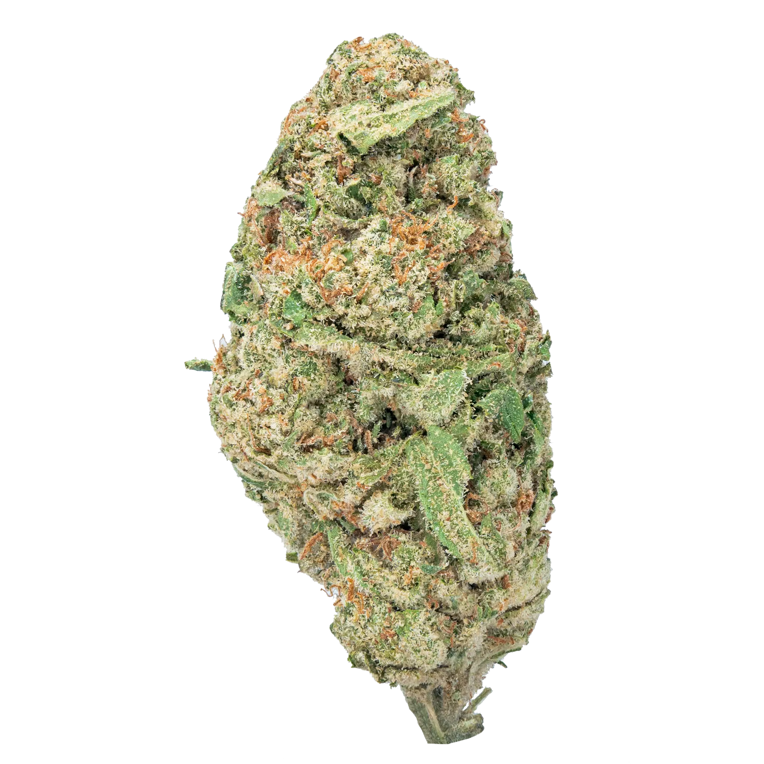 Flor Super Boof THCa